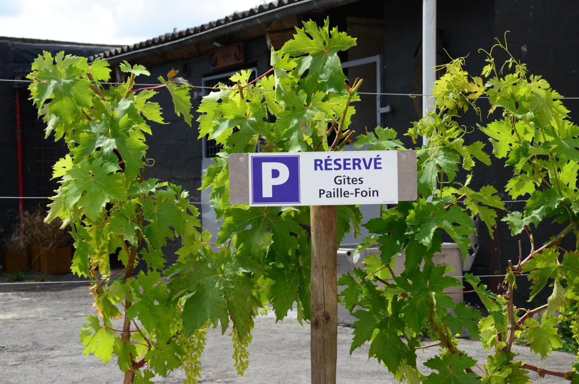 Gites Paille-Foin Cerfontaine Buitenkant foto